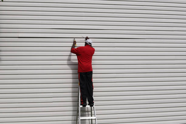 Best Aluminum Siding Installation  in Village Shires, PA